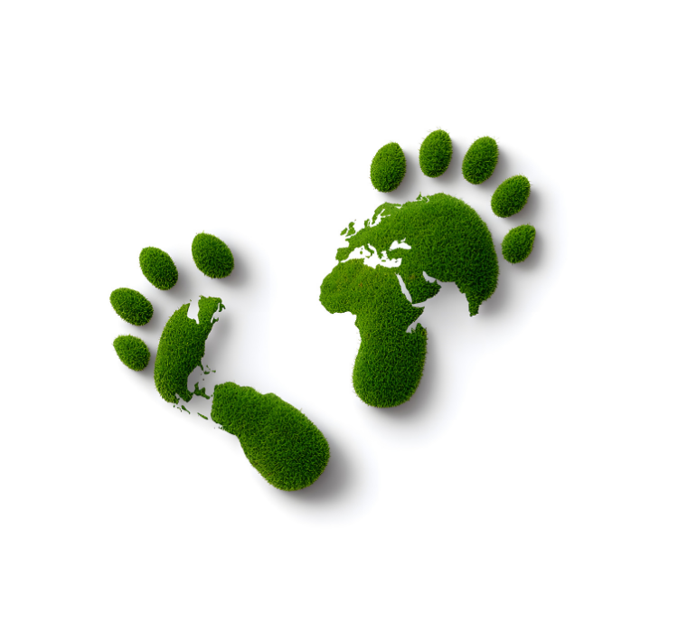 Felex Assembly Solution